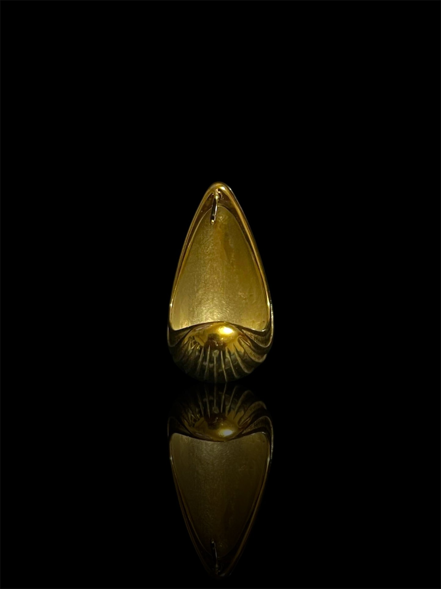 Echo Earring